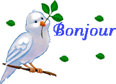 Gif animé bonjour oiseau
